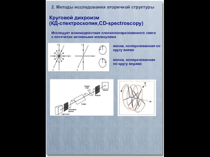 Круговой дихроизм (КД-спектроскопия,CD-spectroscopy)‏ 2. Методы исследования вторичной структуры Исследует взаимодействие плоскополяризованного