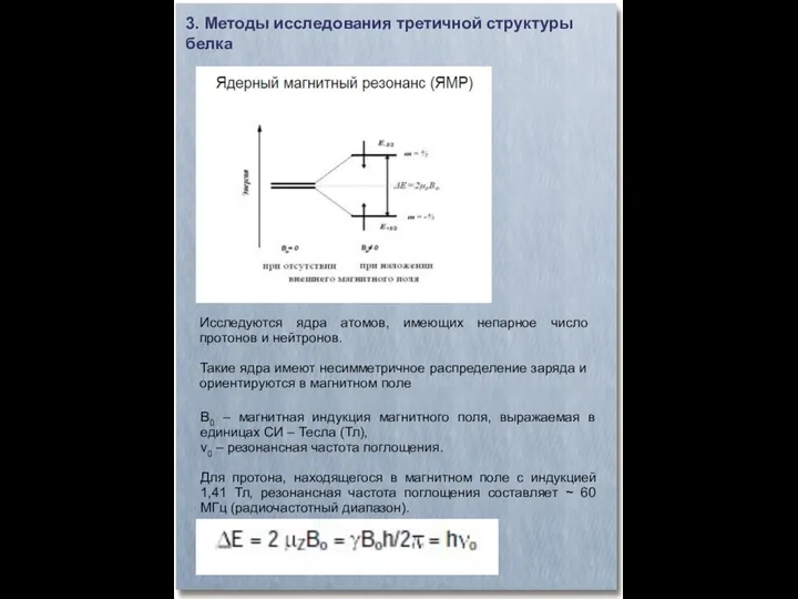 3. Методы исследования третичной структуры белка Исследуются ядра атомов, имеющих непарное