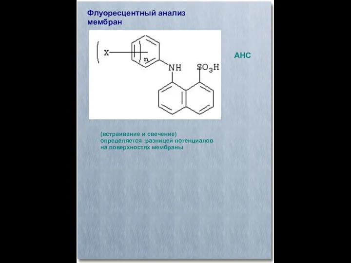 Флуоресцентный анализ мембран (встраивание и свечение) определяется разницей потенциалов на поверхностях мембраны АНС