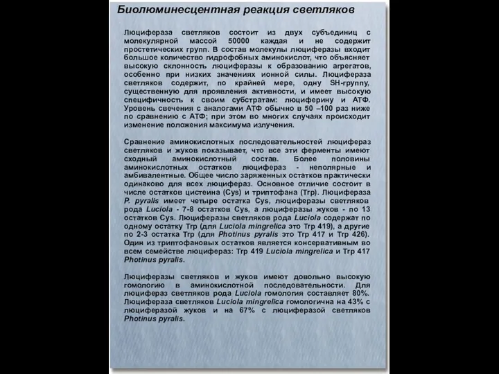 Биолюминесцентная реакция светляков Люцифераза светляков состоит из двух субъединиц с молекулярной