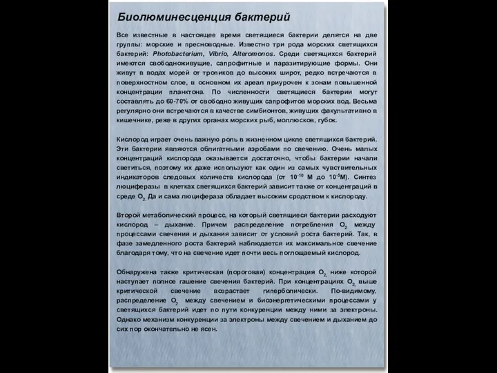 Биолюминесценция бактерий Все известные в настоящее время светящиеся бактерии делятся на