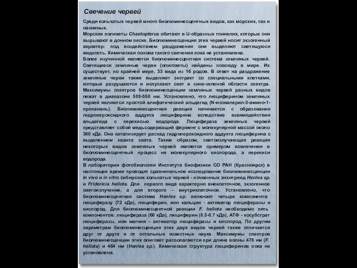 Свечение червей Среди кольчатых червей много биолюминесцентных видов, как морских, так