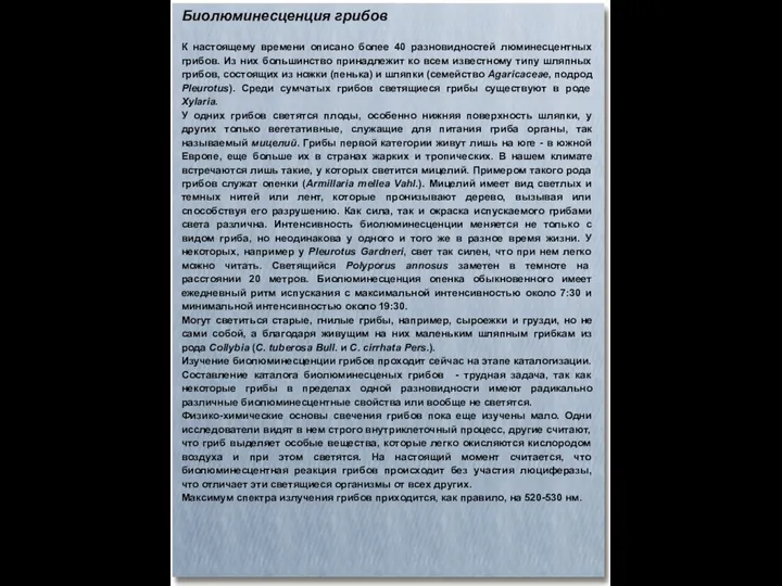 Биолюминесценция грибов К настоящему времени описано более 40 разновидностей люминесцентных грибов.