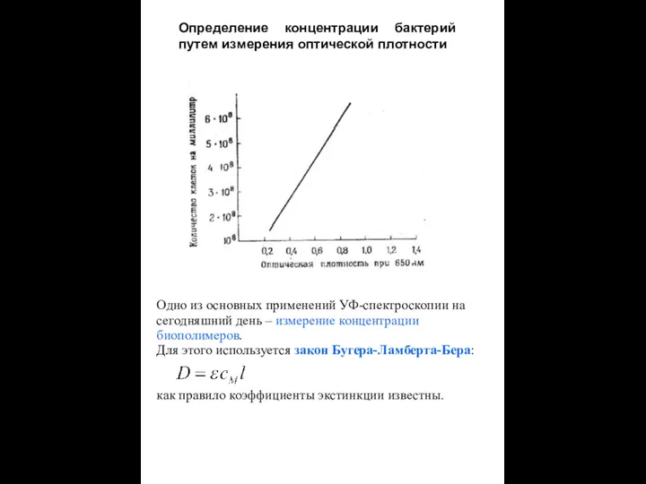 Определение концентрации бактерий путем измерения оптической плотности Одно из основных применений