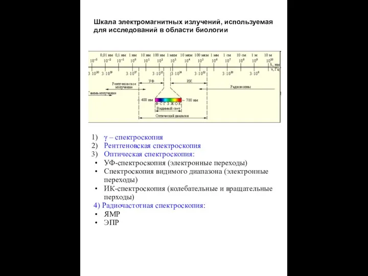 Шкала электромагнитных излучений, используемая для исследований в области биологии γ –