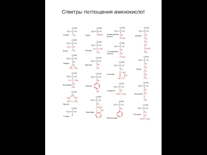 Спектры поглощения аминокислот