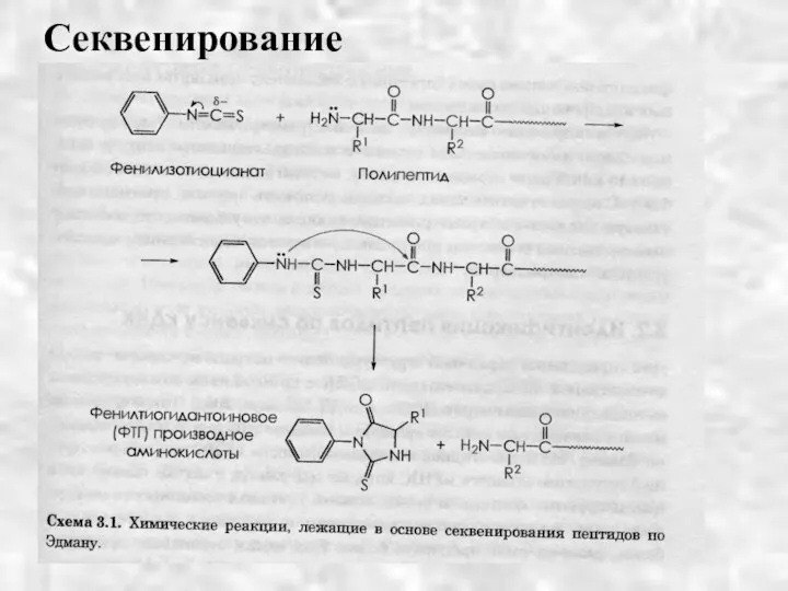 Секвенирование