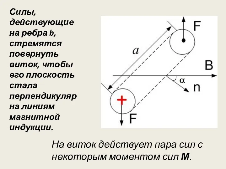 Силы, действующие на ребра b, стремятся повернуть виток, чтобы его плоскость