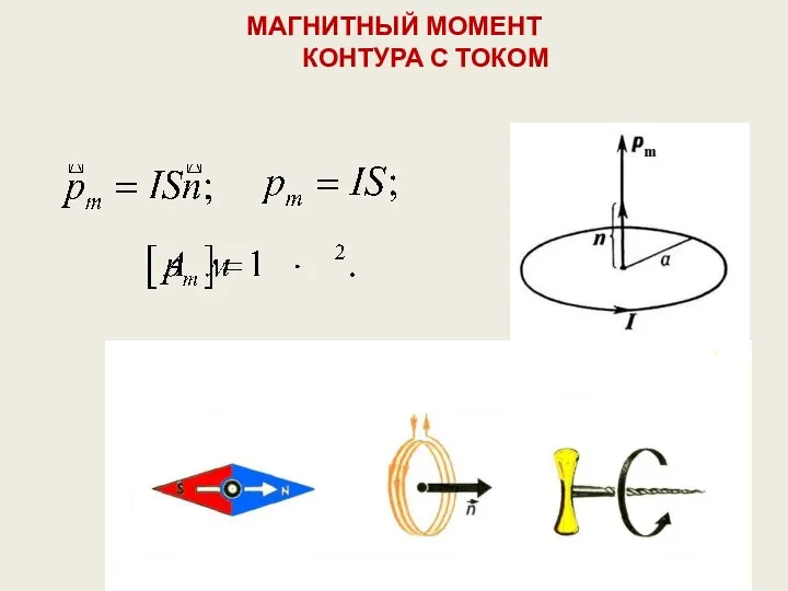 МАГНИТНЫЙ МОМЕНТ КОНТУРА С ТОКОМ