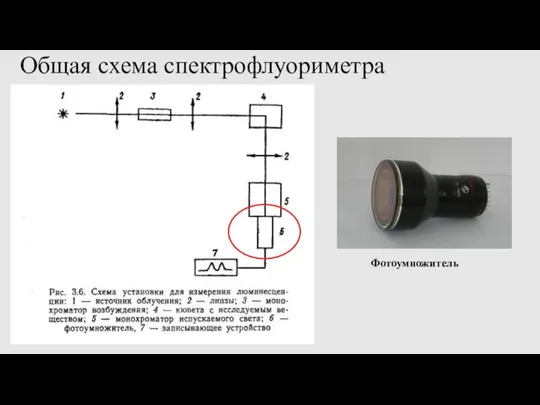 Общая схема спектрофлуориметра Фотоумножитель