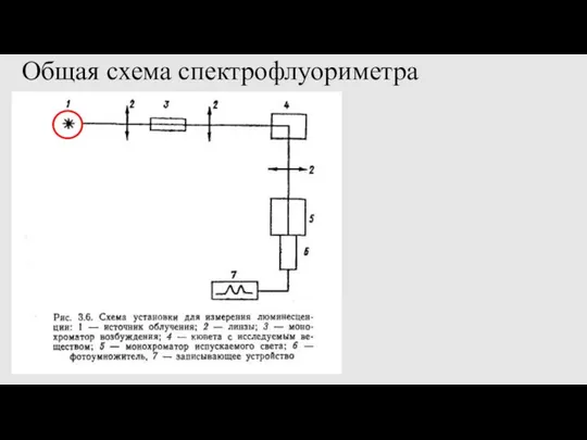 Общая схема спектрофлуориметра