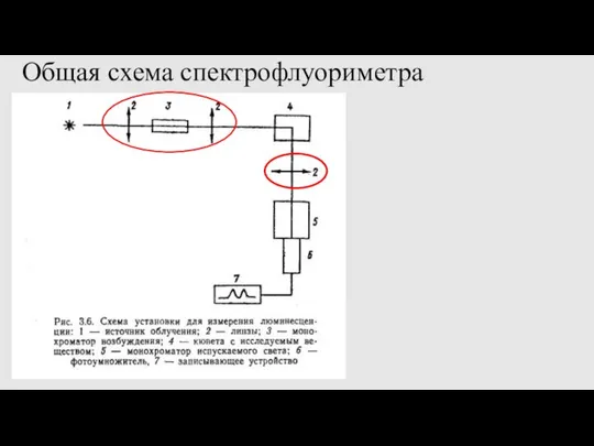 Общая схема спектрофлуориметра