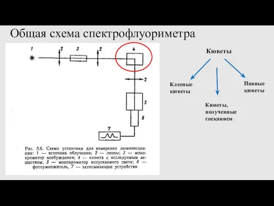 Общая схема спектрофлуориметра Кюветы Клееные кюветы Кюветы, полученные спеканием Паяные кюветы