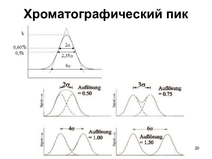 Хроматографический пик