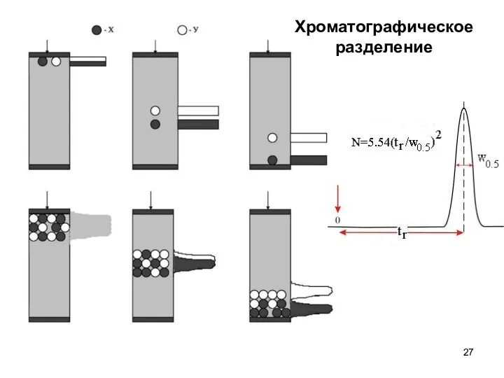 Хроматографическое разделение