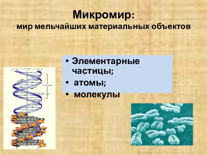 Микромир: мир мельчайших материальных объектов Элементарные частицы; атомы; молекулы