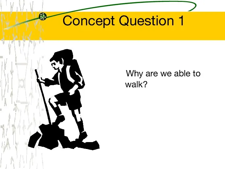 Concept Question 1 Why are we able to walk?