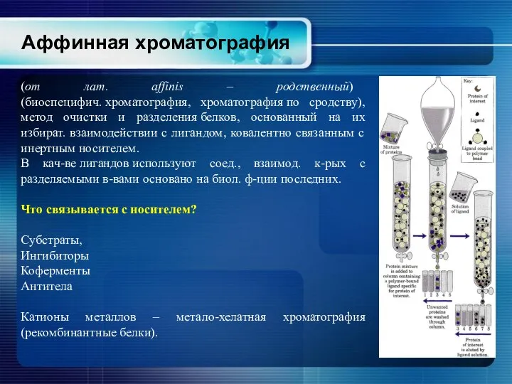 Аффинная хроматография (от лат. affinis – родственный) (биоспецифич. хроматография, хроматография по