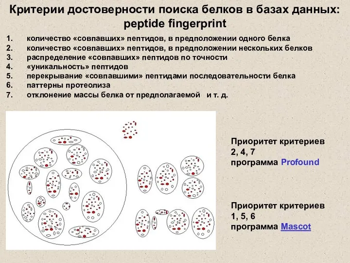 Критерии достоверности поиска белков в базах данных: peptide fingerprint количество «совпавших»