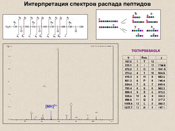 Интерпретация спектров распада пептидов TIGTHPSSSAGLK [MH]2+