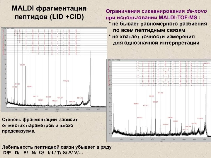 Лабильность пептидной связи убывает в ряду D/P D/ E/ N/ Q/