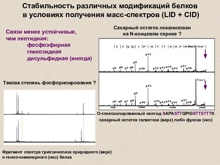 О-гликозилированный пептид SAPASTTQPIGSTTSTTTK сахарный остаток галактоза (верх) либо фукоза (низ) Сахарный