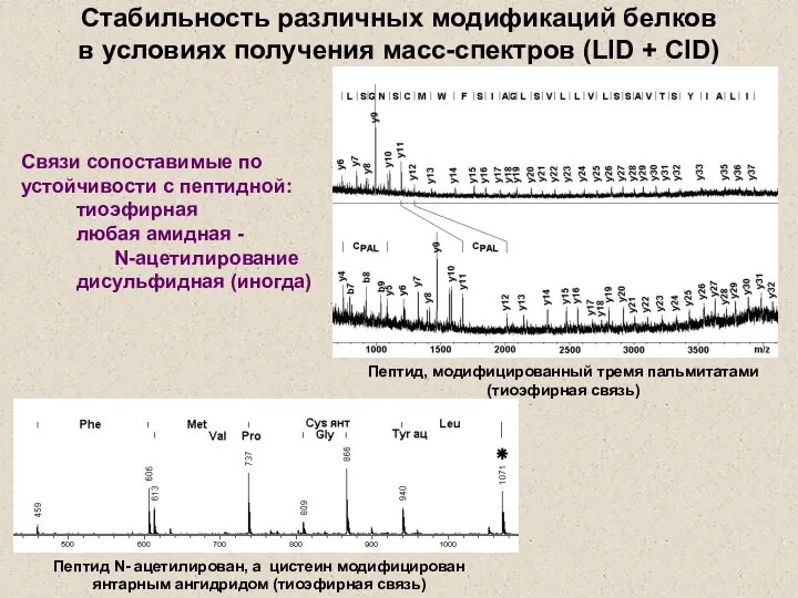 Стабильность различных модификаций белков в условиях получения масс-спектров (LID + CID)