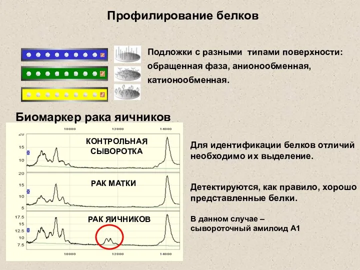 Профилирование белков КОНТРОЛЬНАЯ СЫВОРОТКА РАК МАТКИ РАК ЯИЧНИКОВ Подложки с разными