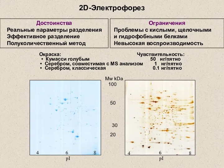 2D-Электрофорез 30 Достоинства Реальные параметры разделения Эффективное разделение Полуколичественный метод Ограничения