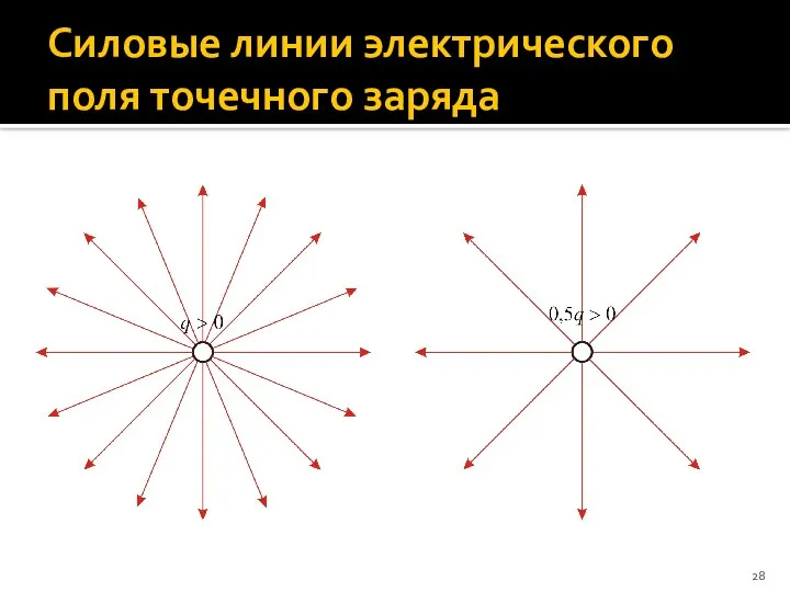 Силовые линии электрического поля точечного заряда