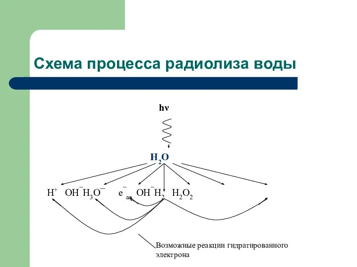 Схема процесса радиолиза воды