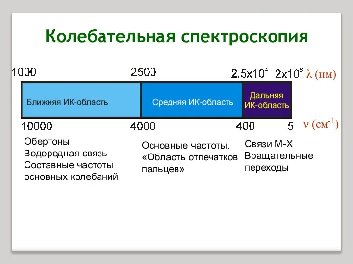 ν (см-1) λ (нм) Обертоны Водородная связь Составные частоты основных колебаний