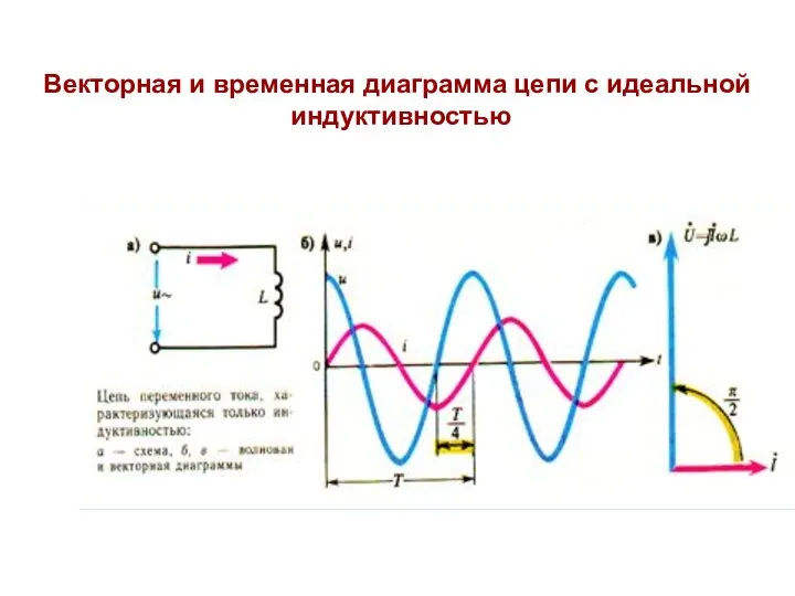 Векторная и временная диаграмма цепи с идеальной индуктивностью