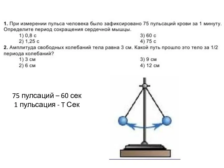 75 пулсаций – 60 сек 1 пульсация - T Сек