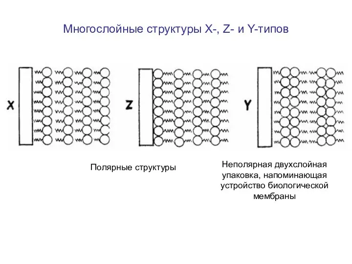 Многослойные структуры X-, Z- и Y-типов Неполярная двухслойная упаковка, напоминающая устройство биологической мембраны Полярные структуры