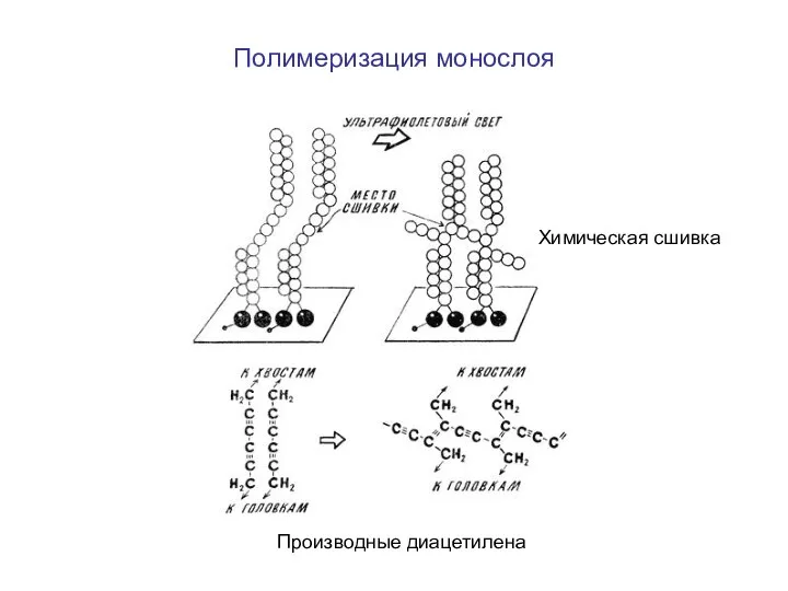 Полимеризация монослоя Производные диацетилена Химическая сшивка