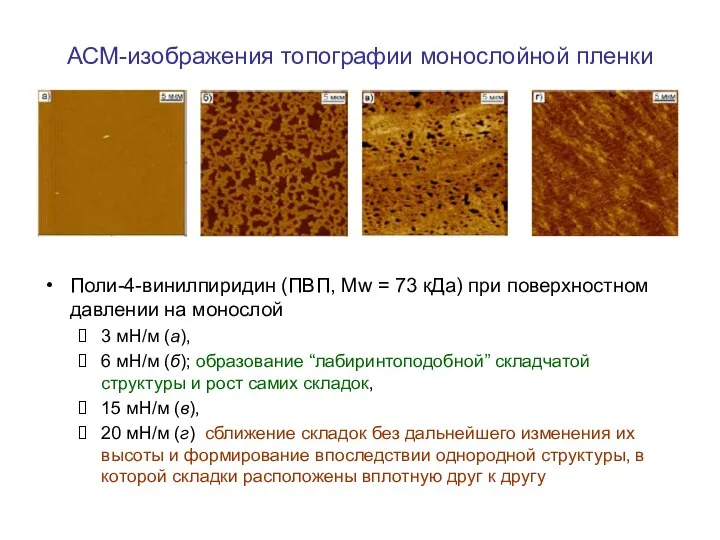 АСМ-изображения топографии монослойной пленки Поли-4-винилпиридин (ПВП, Mw = 73 кДа) при