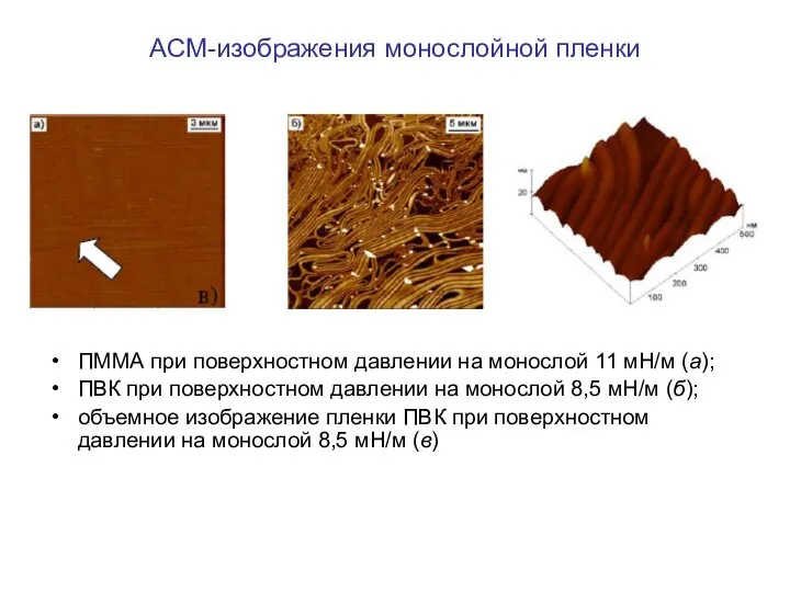 АСМ-изображения монослойной пленки ПММА при поверхностном давлении на монослой 11 мН/м