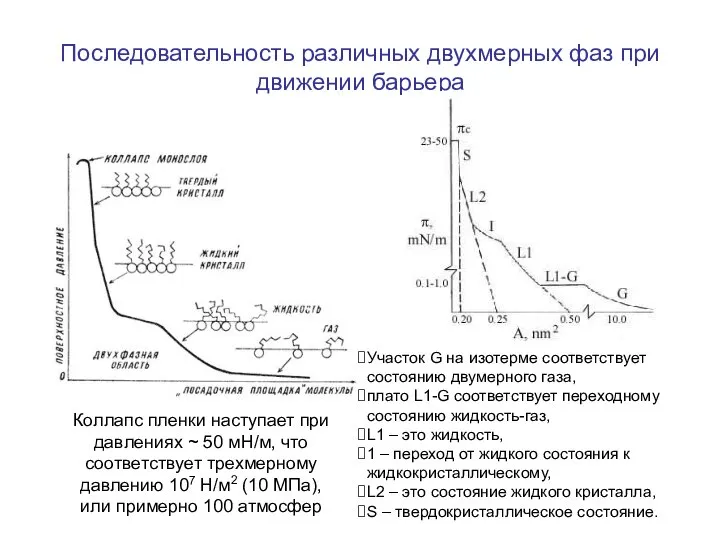 Последовательность различных двухмерных фаз при движении барьера Коллапс пленки наступает при