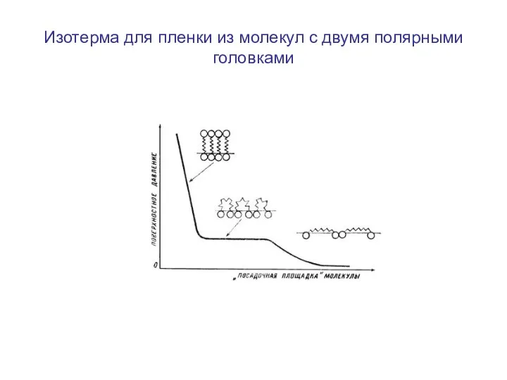 Изотерма для пленки из молекул с двумя полярными головками