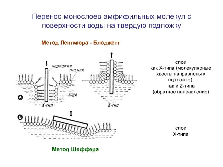 Перенос монослоев амфифильных молекул с поверхности воды на твердую подложку Метод