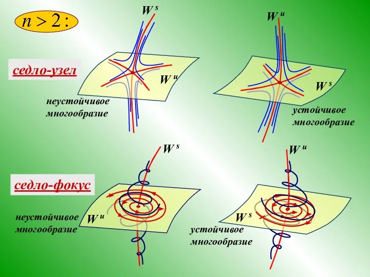седло-узел неустойчивое многообразие устойчивое многообразие W s W u седло-фокус неустойчивое