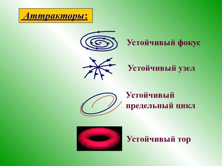 Устойчивый узел Устойчивый фокус Аттракторы: Устойчивый предельный цикл Устойчивый тор