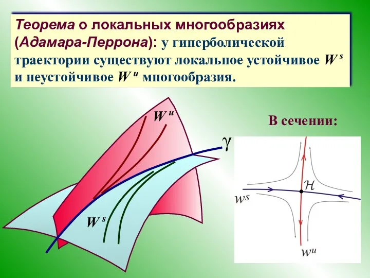 W s W u γ Теорема о локальных многообразиях (Адамара-Перрона): у