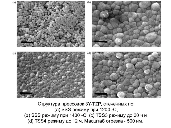 Структура прессовок 3Y-TZP, спеченных по (a) SSS режиму при 1200 ◦C,