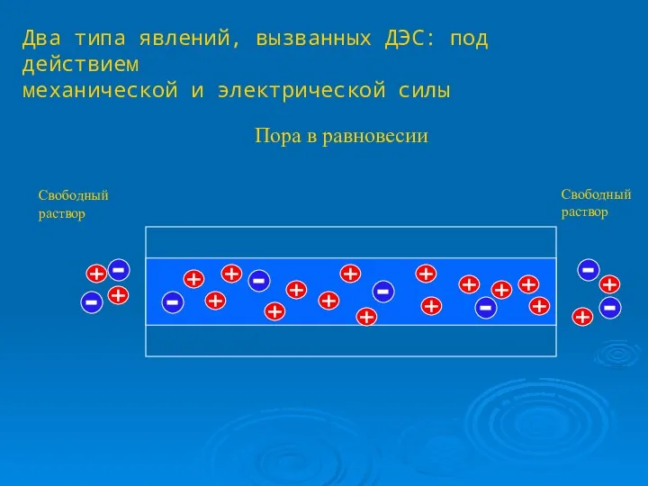 Два типа явлений, вызванных ДЭС: под действием механической и электрической силы