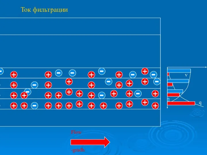 Ток фильтрации q