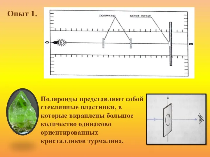 Опыт 1. . Опыт 1. Поляроиды представляют собой стеклянные пластинки, в