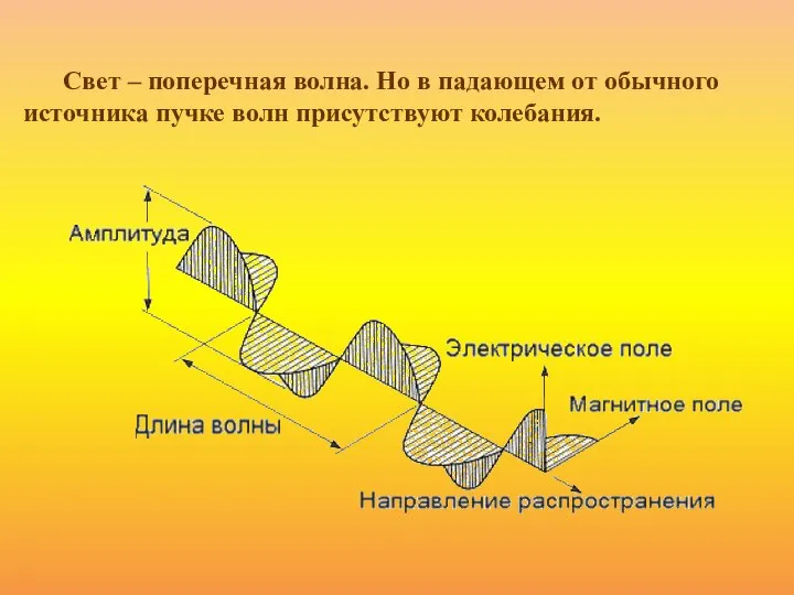 Свет – поперечная волна. Но в падающем от обычного источника пучке волн присутствуют колебания.