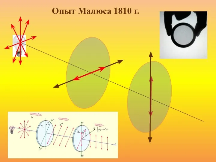 Опыт Малюса 1810 г.